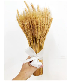Bouquet de Trigo Envelhecido