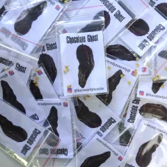 Chocolate Ghost Bhut Jolokia (Ají Fantasma) - comprar online