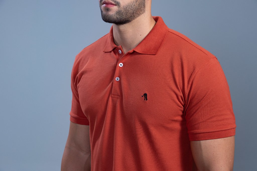 camisetas polo basicas