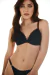 Imagen de A1242 conjunto
