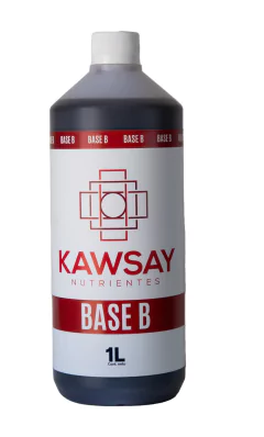 Kawsay Base B 1lt