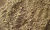 RUDA 100G