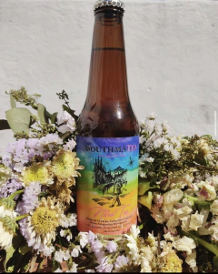 Nitro Tea - comprar online