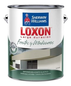 Loxon Larga Duración Frentes Y Medianeras Colores X 4 Lts