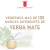 Kit Matero Origen: Mate Metalico, Bombilla y Yerba Mate 500gr - comprar online