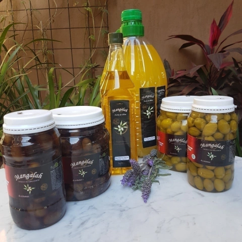 3 lt Aceite de oliva virgen extra agroecológico "Ganapati"