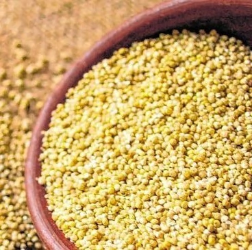 500 g Quinoa agroecológica de Jujuy