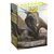 Dragon Shield - Matte Art Sleeves - "Sphinx Dragon" x100