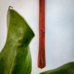 borduna de madeira Tapirapé - comprar online