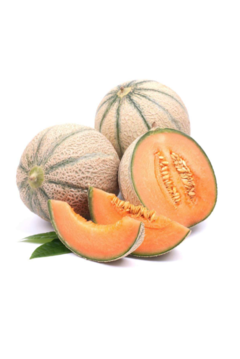 Semillas de Melon Charentais en internet