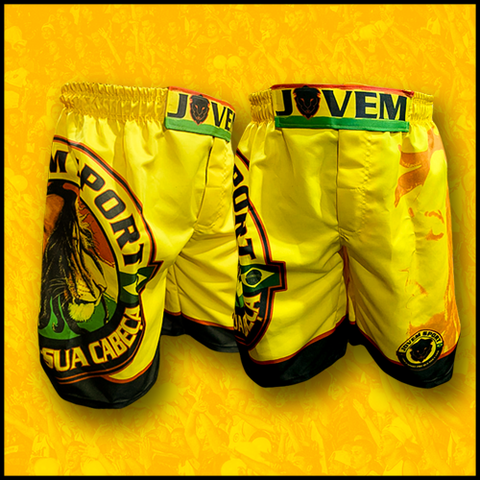 vw polo pulse limited edition