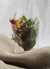 Mini buquê de flores secas - comprar online