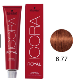 Igora Royal Tintura - 6.77 - LOURO ESCURO COBRE EXTR