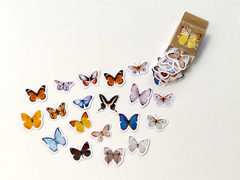 Caixinha de Ilustrações de borboletas
