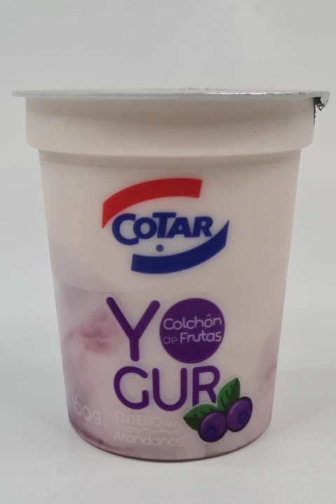 Yogurt con colchón de arandanos COTAR 160gr