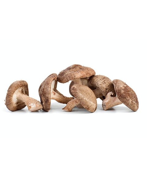 Cogumelos Shitake (bandeja) - Comprar em Agrobonfim