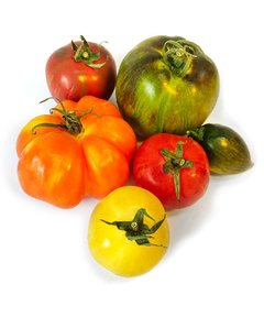 Tomates Selvagens (bandeja)