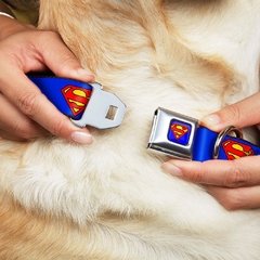 COLLAR HEB.MET. ESCUDO SUPERMAN AZUL - REGULAR - SMALL - comprar online