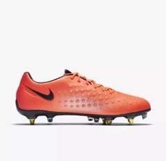 botin magista