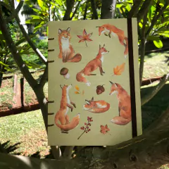 Caderno Rapositas