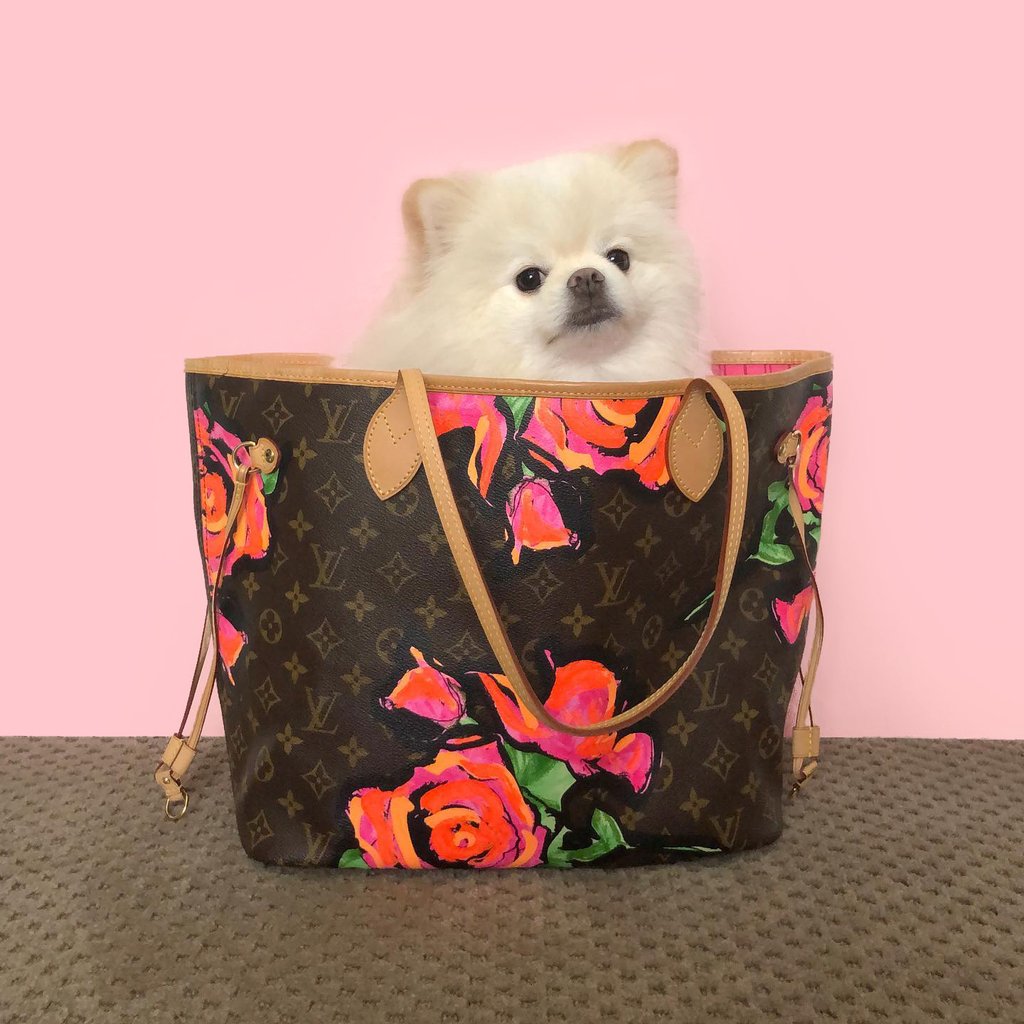 fluffy lv bolsa
