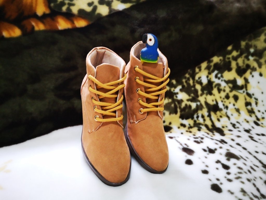 Botines de moda | Botines para mujer al mejor precio
