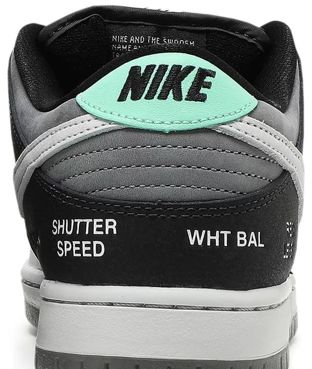 nike camcorder dunks