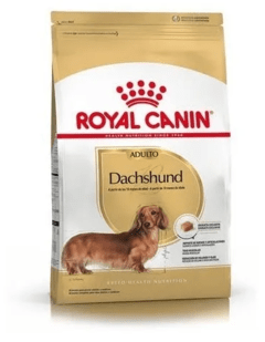 Royal Canin Dachshund Adulto 3 Kg