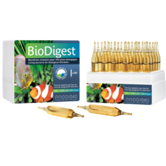 BioDigest ampolla individual