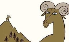 Caracol, ¿dónde estás? en internet