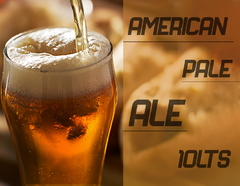 Kit Receita American Pale Ale 10L (Nugget e Amarillo) - comprar online