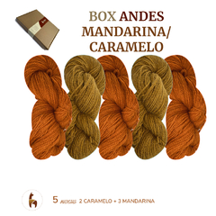 BOX LLAMA ANDES COLOR SURTIDO (500grs) - comprar online
