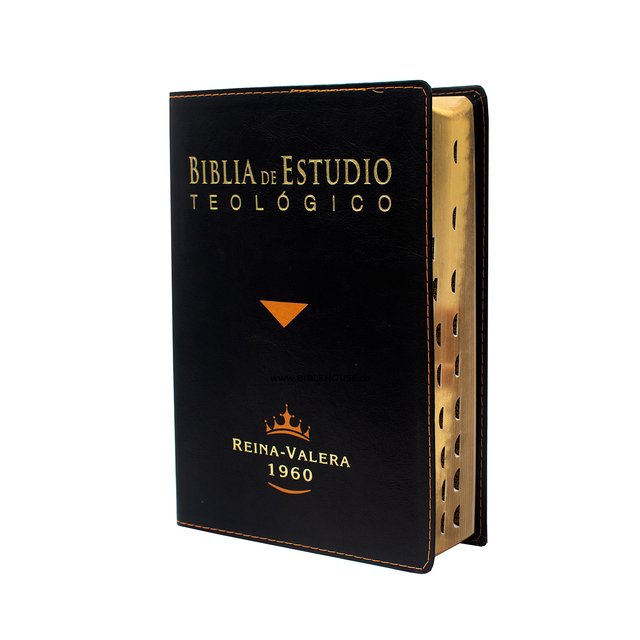 Biblia Cristiana De Estudio Teológico Reina Valera 1960