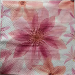 Servilleta para Decoupage Importada 33x33cm S73