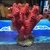 Coral rojo resina - comprar online