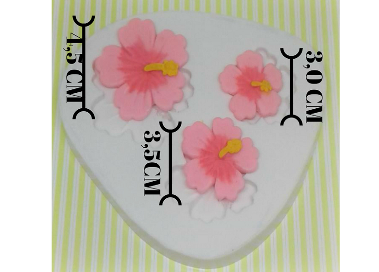 Featured image of post Flor Tropical Png Molde