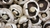 2 KG CHAMPIGNON PARRILLERO