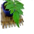 Planta de acento Bignonia n2 en maceta esmaltada - tienda online