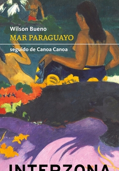 Mar Paraguayo - Wilson Bueno - Interzona - comprar online