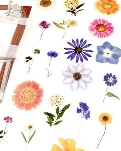 Adesivos Inspiração entre flores na internet