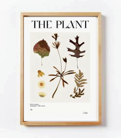 COLECCIÓN THE PLANT en internet