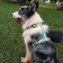 Coleira Peitoral para Cachorros com Anti Puxão - Limão - comprar online