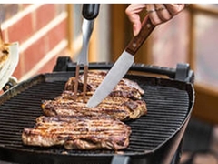 Set Parrillero Asador en internet