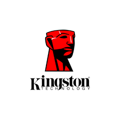 Pendrive 16gb Kingston DT104 en internet