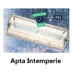 Luz de emergencia y permanente apto exterior 52 leds Atomlux 2052 - AHP Insumos