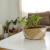 Imagen de CESTO - KIGALI CHICO - SEAGRASS