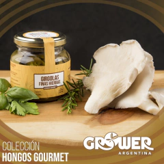 Colección Hongos Gourmet (12 productos)