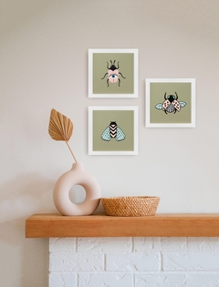 composição de quadros decorativos - insetos