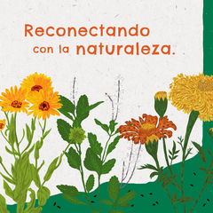Kit de Huerta para todo el año: Semillas Agroecológicas (40 sobres) + 2 bandejas + sustrato x 10lts + humus + bioinsecticida en internet