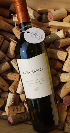 Alpamanta Terroir Sauvignon Blanc Single Vineyard 2017